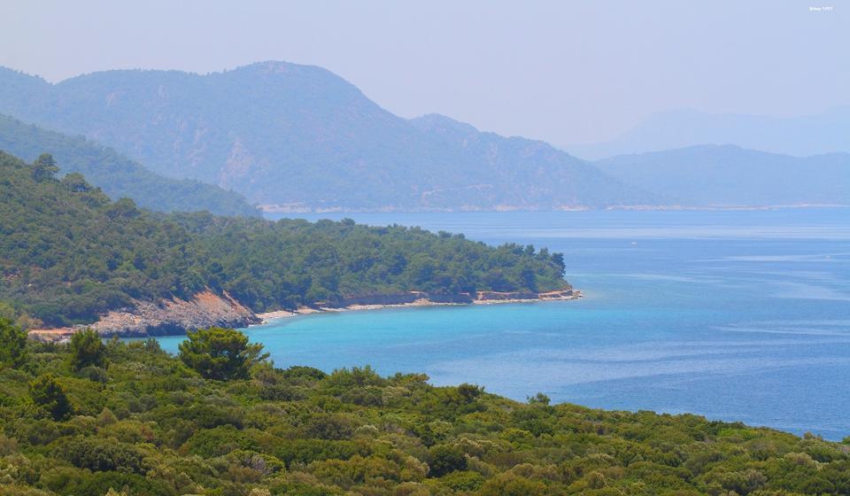 DİLEK YARIMADASI MİLLİ PARKI'NA YANGIN YOLU AÇILACAK