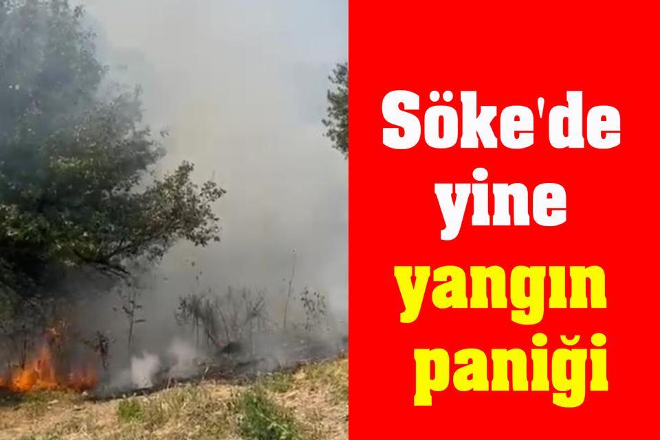 Söke'de yangın paniği