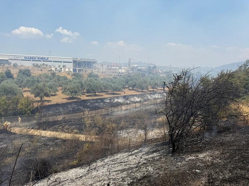 ÇİFT SÜRÜLEN TARLA YANGINDA ZARAR GÖRMEDİ