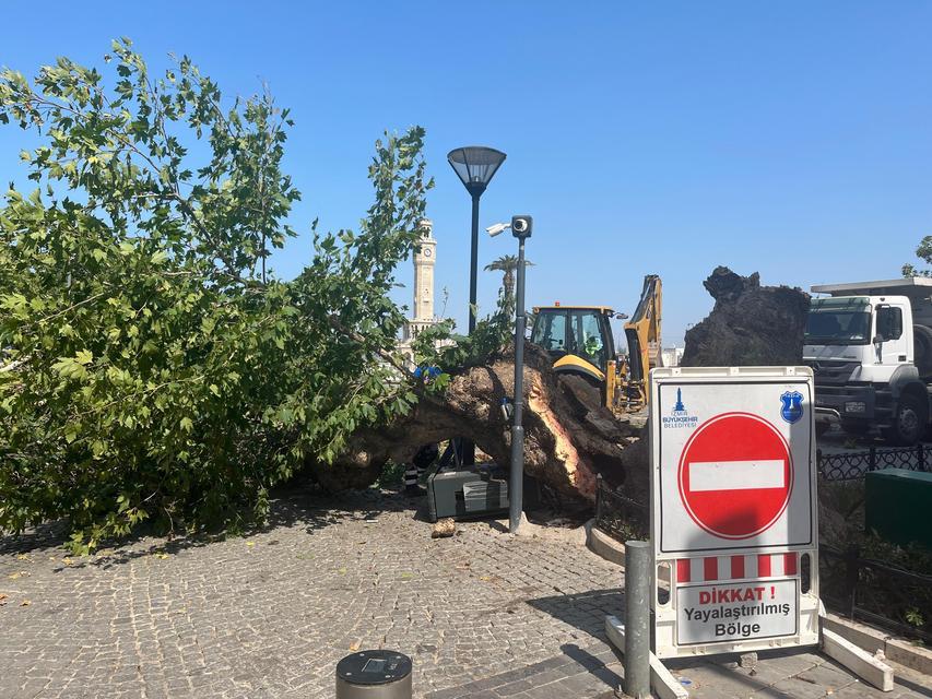 Tarihi Kemeraltı Çarşısı girişindeki dev çınar devrildi