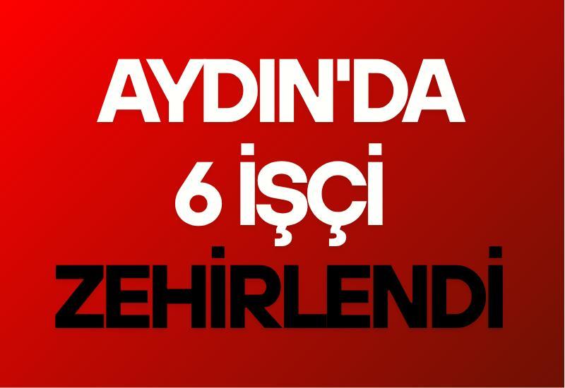 Aydın'da 6 işçi zehirlendi