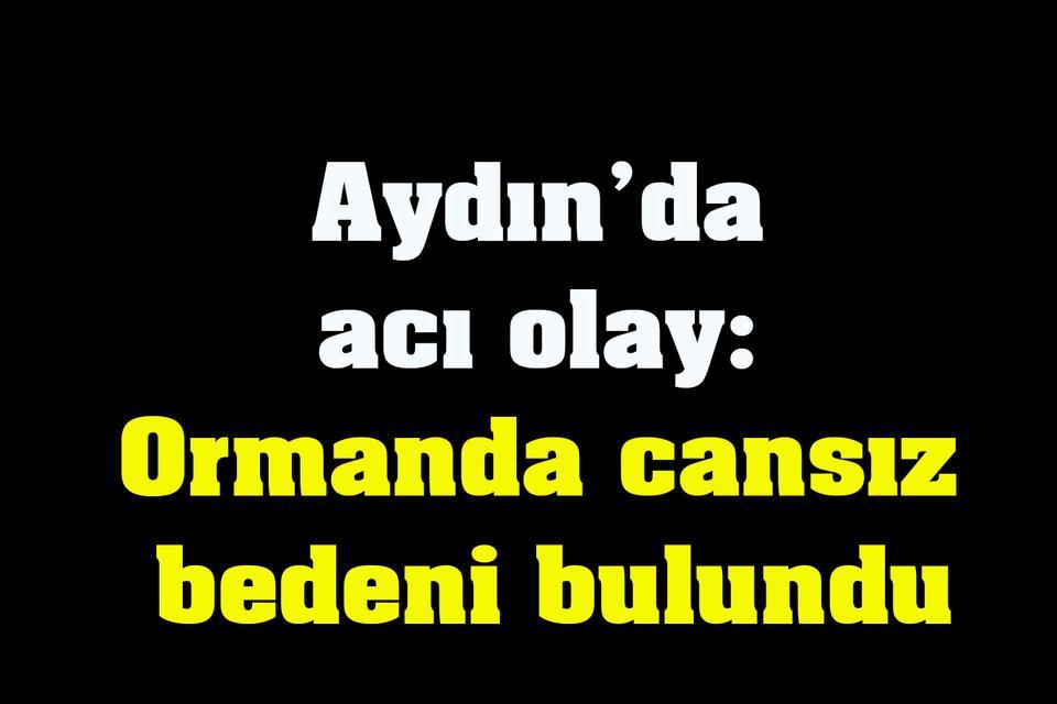 Aydın’da acı olay: Ormanda cansız bedeni bulundu