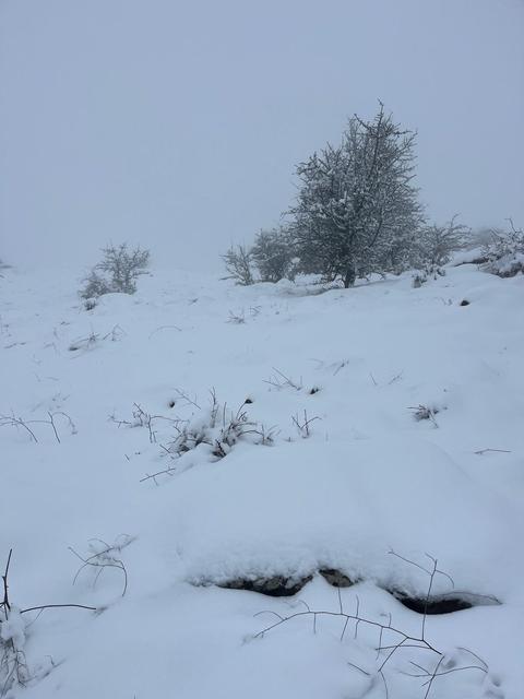 MART SONUNDA KARINCALI DAĞ'DA KAR SÜRPRİZİ BOZDOĞAN BEYAZA BÜRÜNDÜ