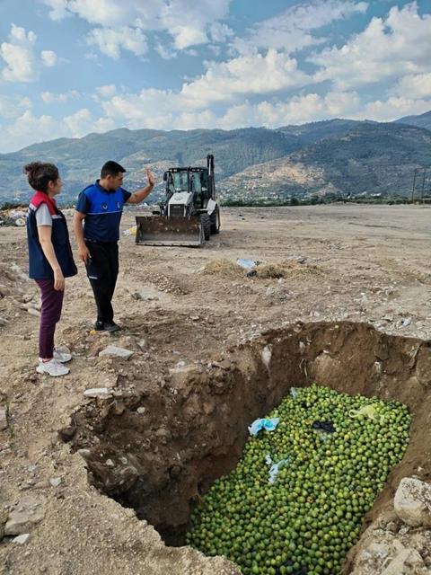 Bozdoğan’da hastalıklı ilekler imha edildi
