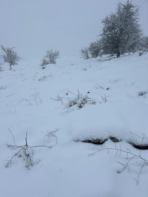 MART SONUNDA KARINCALI DAĞ'DA KAR SÜRPRİZİ BOZDOĞAN BEYAZA BÜRÜNDÜ