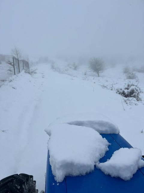 MART SONUNDA KARINCALI DAĞ'DA KAR SÜRPRİZİ BOZDOĞAN BEYAZA BÜRÜNDÜ