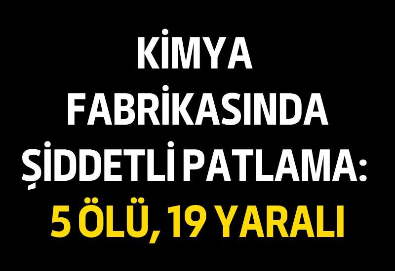 Kimya fabrikasında şiddetli patlama: 5 ölü, 19 yaralı