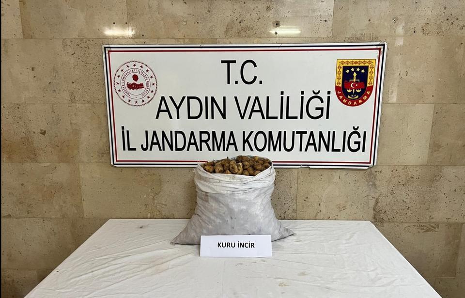 Aydın’da incir üreticilerin hırsızlarla başı dertte