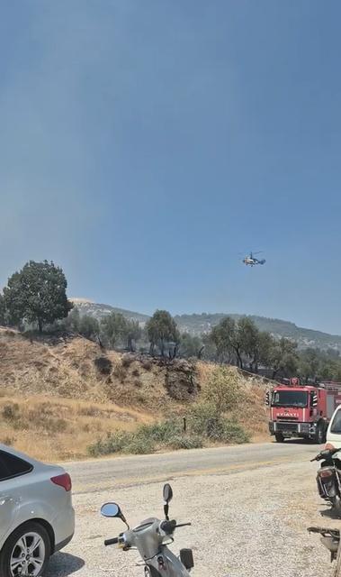 Aydın'da yangın paniği