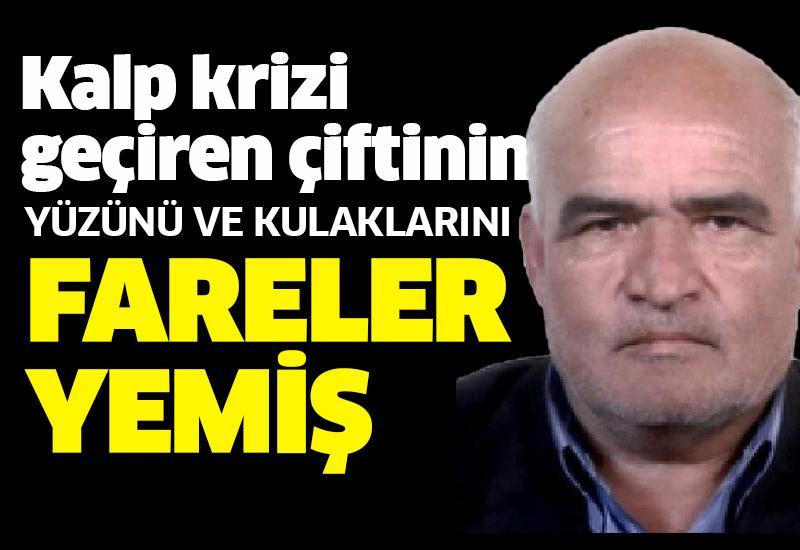 Çiftçinin yüzünü ve kulaklarını fareler yedi
