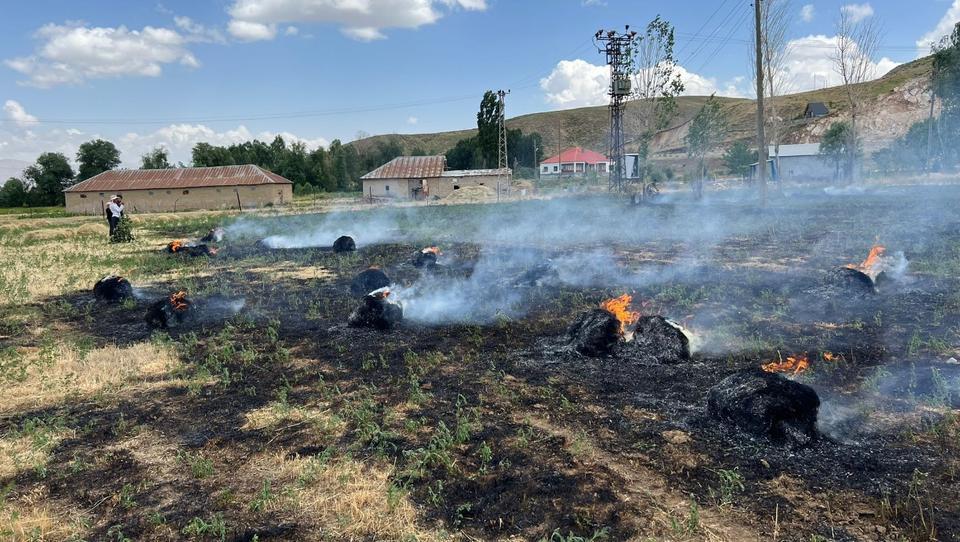 HAKKARİ'DE YAKLAŞIK BİN 500 BAĞ OT KÜL OLDU
