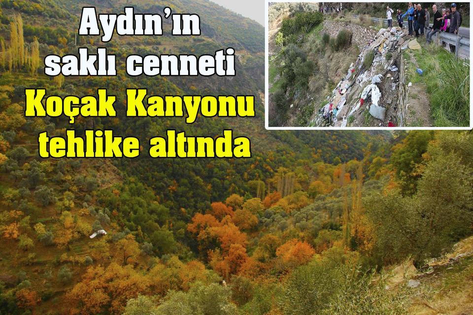 Aydın’ın saklı cenneti Koçak Kanyonu tehlike altında