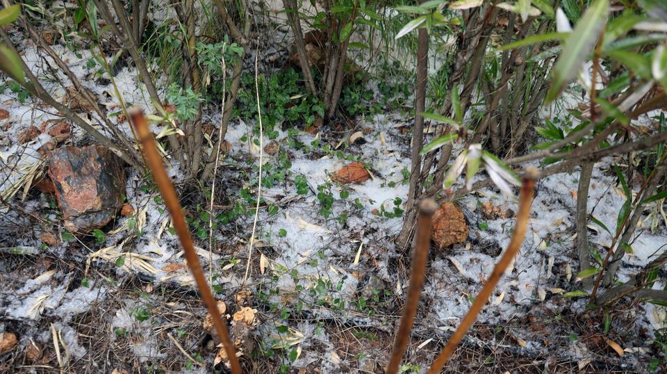 Dolu sürprizi beyaza bürüdü