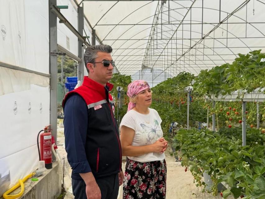 Koçarlı’da çilek bahçelerinde pestisit denetimi