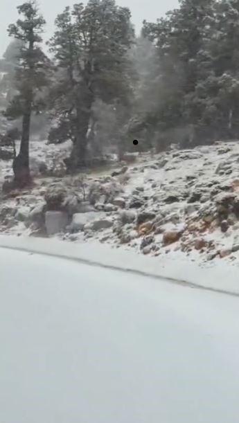 DENİZLİ'NİN YÜKSEK KESİMLERİNDE KAR YAĞIŞI BAŞLADI