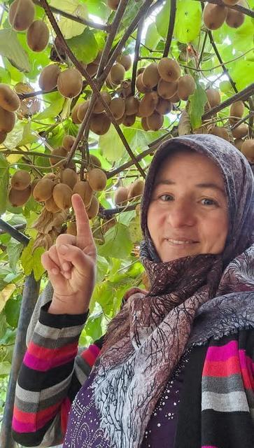 Fenomen öyle olunmaz, böyle olunur!