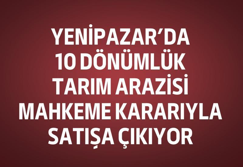Yenipazar’da 10 dönümlük tarım arazisi mahkeme kararıyla satışa çıkıyor