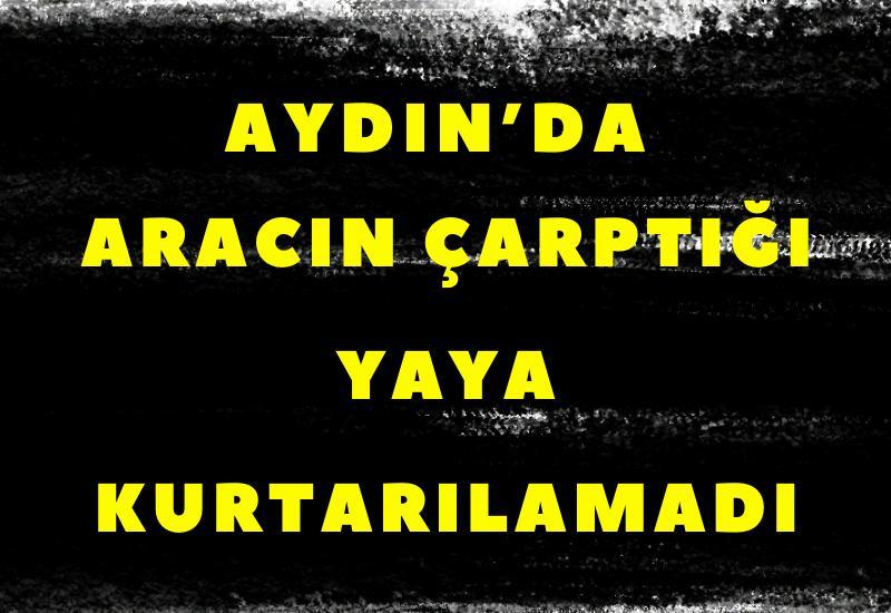 Aydın’da aracın çarptığı yaya kurtarılamadı