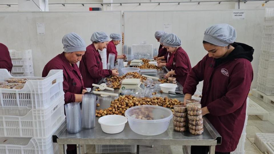 Nazilli Ticaret Odası'ndan incir için birlikte hareket etme çağrısı