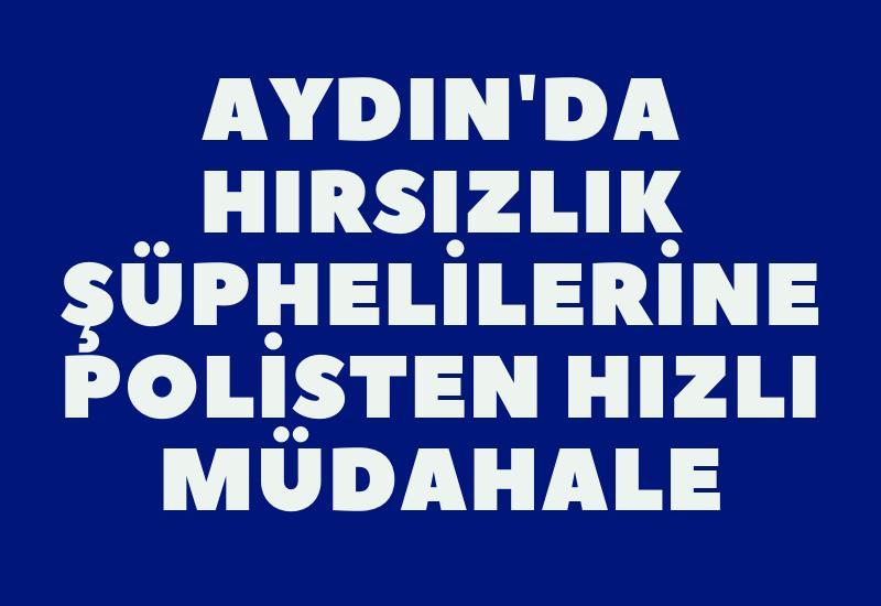 Aydın'da hırsızlık şüphelilerine polisten hızlı müdahale
