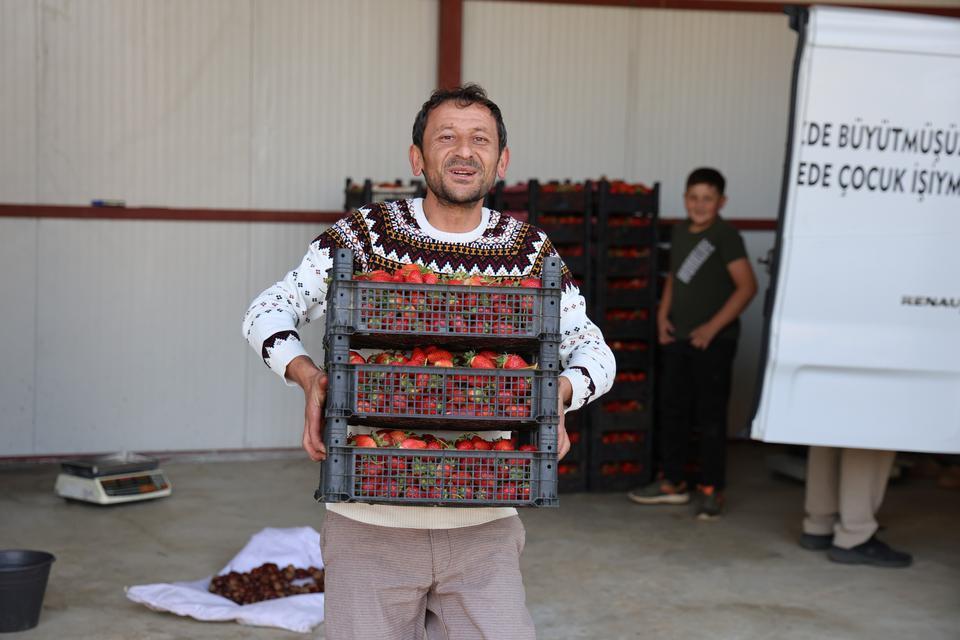 ESKİDEN BARBUNYA ÜRETİM MERKEZİ OLAN OVACIK YAYLALARI ÇİLEĞE DÖNDÜ AYDIN'DAN İSPANYA'YA KADAR İHRAÇ EDİLİYOR