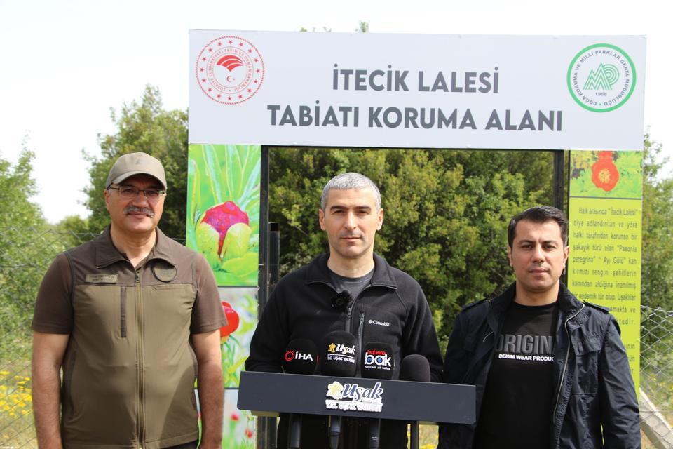 'İTECİK LALESİ'Nİ KOPARMANIN CEZASI 550 BİN TL UŞAK'TA YILDA 15 GÜN ÇİÇEK AÇAN PAEONİA PEREGRİNA (İTECİK LALESİ) AÇTI VALİ AKTAŞ, İTECİK TEPESİ'NDE İNCELEMELERDE BULUNDU
