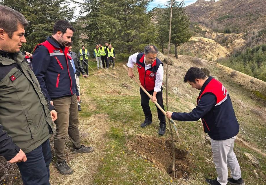 2 bin kestane fidanı toprakla buluşturuldu