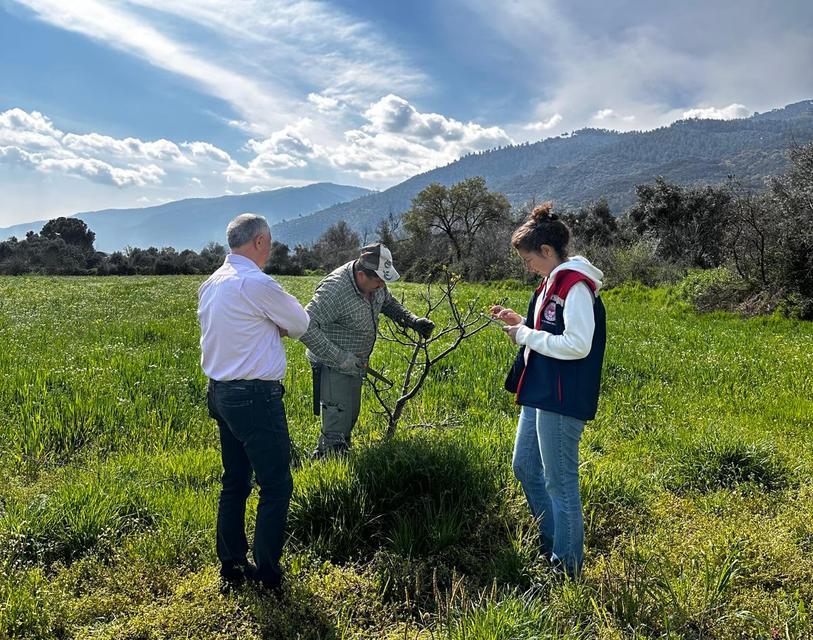 Bozdoğan’da ilek bahçesinde verim artışı hedefleniyor