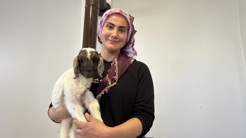 ANNESİZ KALAN KUZU AİLENİN 'UMUT'U OLDU ANNESİZ KUZUYU EV ORTAMINDA BEBEK ŞAMPUANIYLA YIKAYIP BİBERONLA BESLİYORLAR