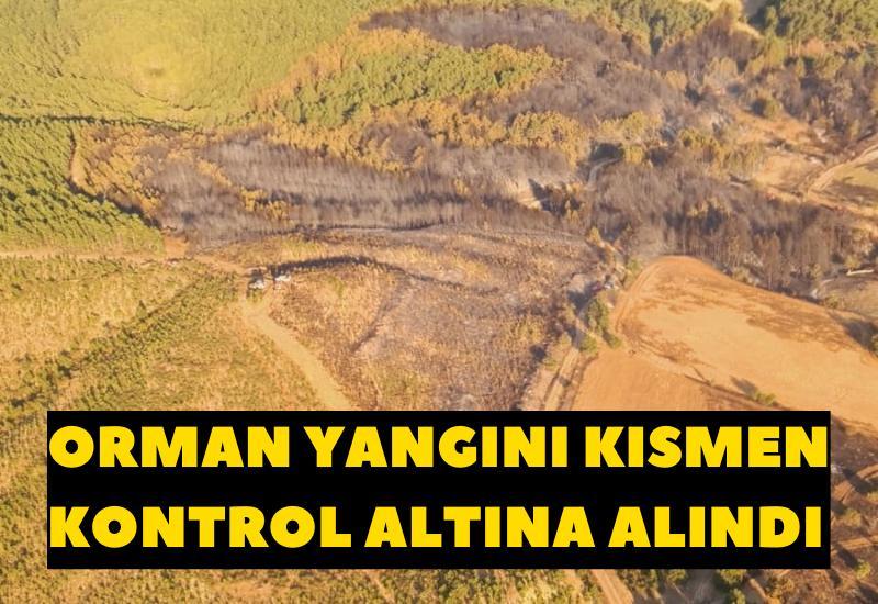 Orman yangını kısmen kontrol altına alındı