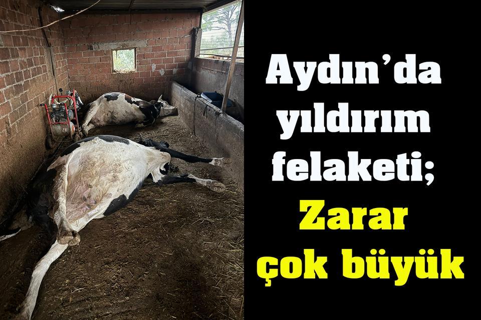 Aydın’da yıldırım felaketi; Zarar çok büyük