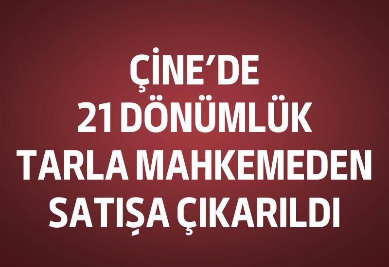Çine’de 21 dönümlük tarla mahkemeden satışa çıkarıldı