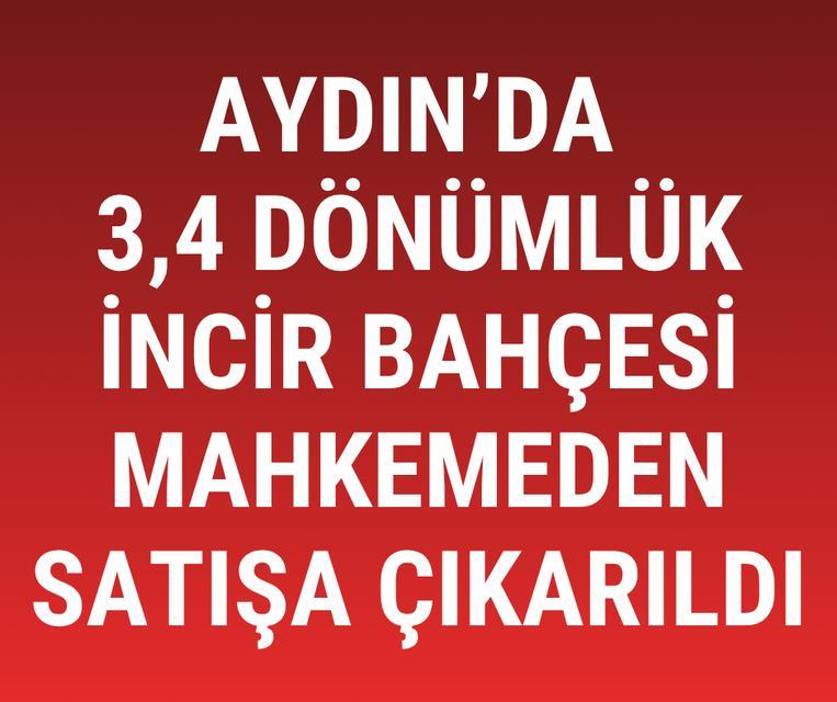 Aydın'da 3,4 dönümlük incir bahçesi mahkemeden satışa çıkarıldı