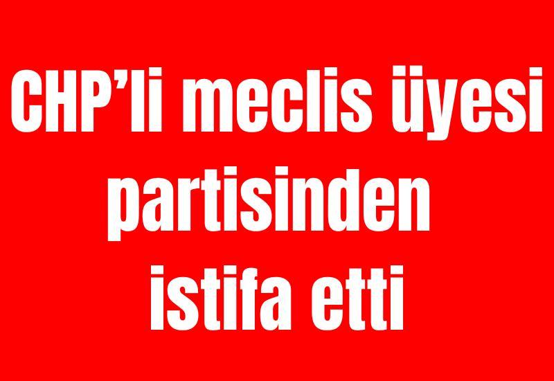CHP’li meclis üyesi partisinden istifa etti