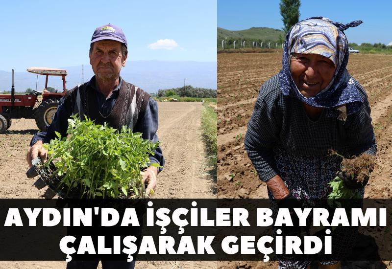 Aydın'da işçiler bayramı çalışarak geçirdi