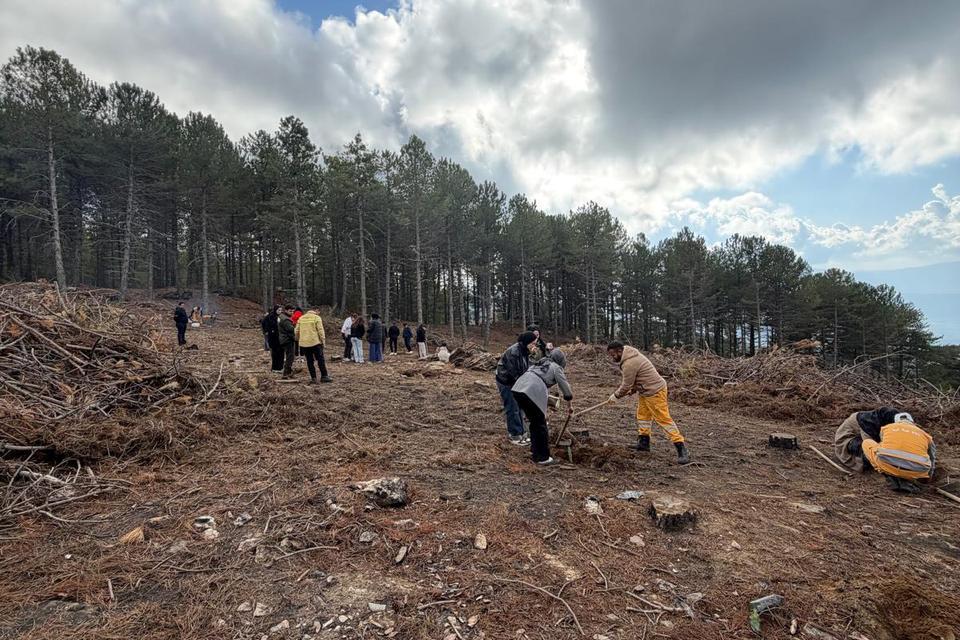 Kırşehir’den gelen gençler Çine’de umut yeşertti