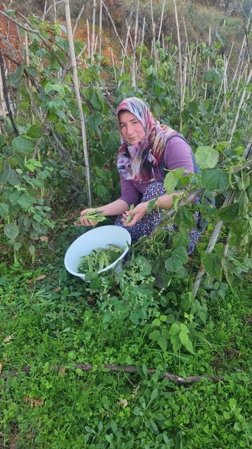 Fenomen öyle olunmaz, böyle olunur!