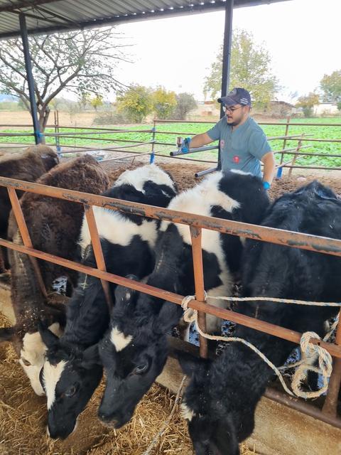 Karpuzlu'da hayvan sağlığı denetimi
