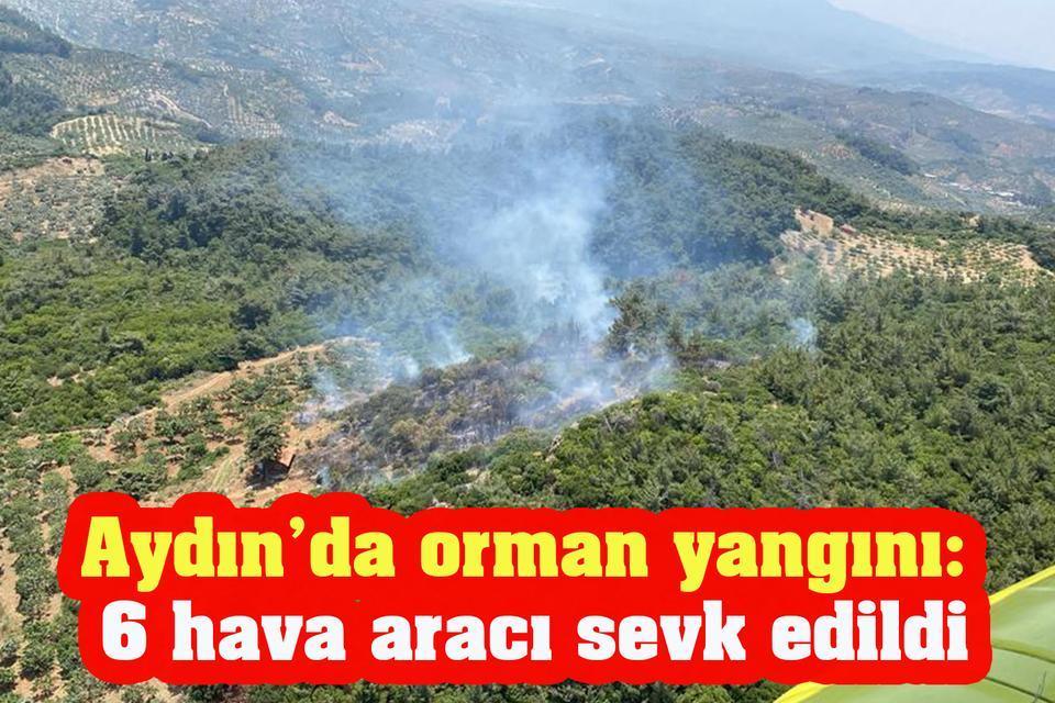 Aydın orman yangını: 6 hava aracı sevk edildi