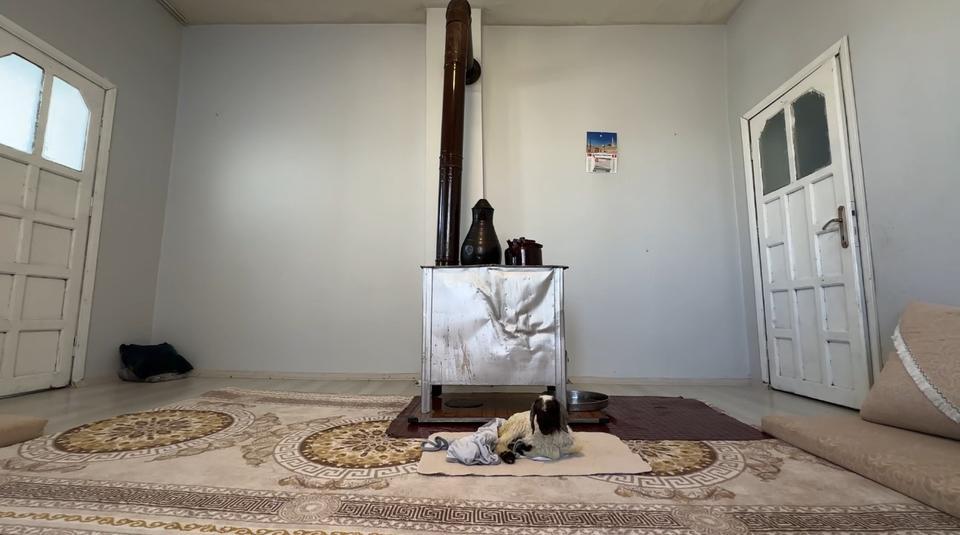 ANNESİZ KALAN KUZU AİLENİN 'UMUT'U OLDU ANNESİZ KUZUYU EV ORTAMINDA BEBEK ŞAMPUANIYLA YIKAYIP BİBERONLA BESLİYORLAR