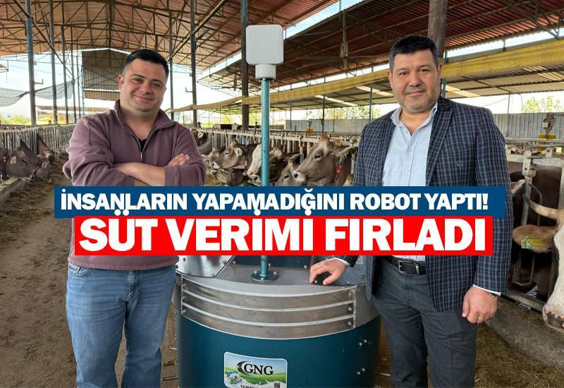 İnsanların yapamadığını robot yaptı: Süt verimi fırladı