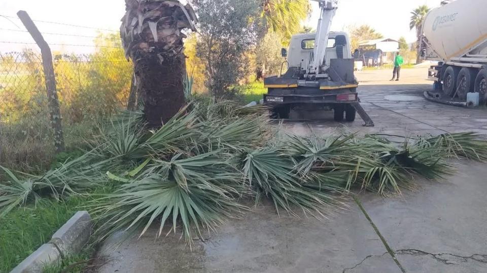 Germencik'te temizlik ve bakım seferberliği