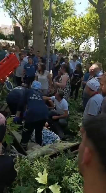 KORKUNÇ OLAY: ÇINAR AĞACININ KOPAN DALI VATANDAŞLARIN ÜZERİNE DÜŞTÜ