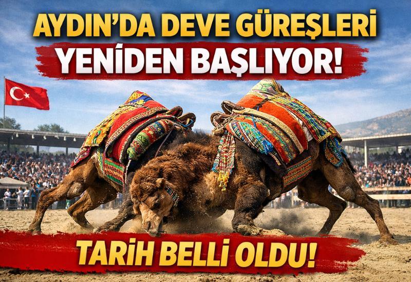 Aydın’da deve güreşleri yeniden başlıyor! Tarih belli oldu
