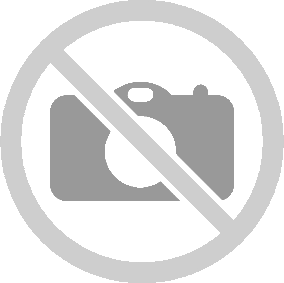 Hırsızlar önce kameraya sonra polise yakalandı